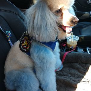 Meet your Posher, Debra